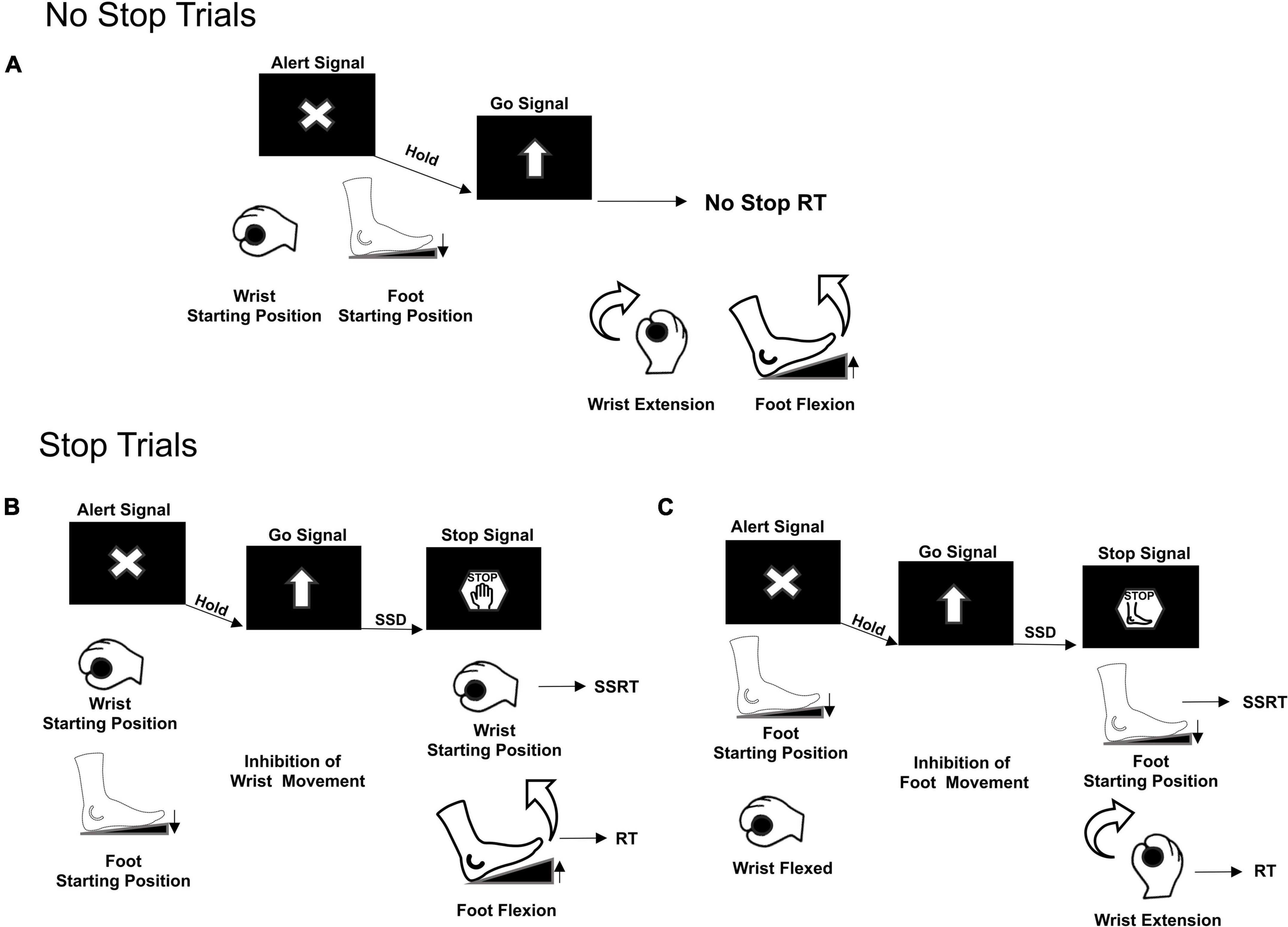 Restart errors reaction time of a two-step inhibition process account for the violation of the race model’s independence in multi-effector selective stop signal task